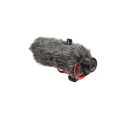 Avis Rode DeadCat GO - Gris