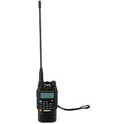 Microphone de chant