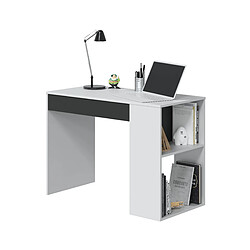 Avis Alter Bureau d'étude - Blanc