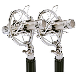 Warm audio WA-84-OC-N-ST - Argent