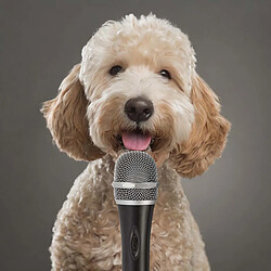 Acheter Nedis Plastique/Aluminium