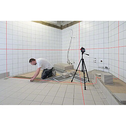 Bosch Niveau laser GLL 3-80 pro pas cher