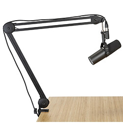Microphone de chant