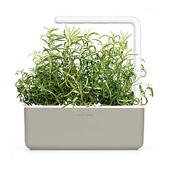 Click & Grow Romarins pas cher