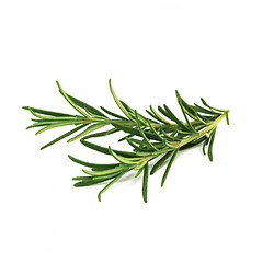 Acheter Click & Grow Romarins