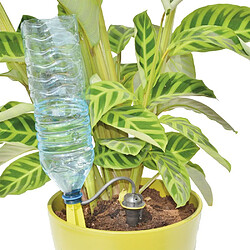 Acheter Iriso Goutteurs sur pied arrosage régulier - Lot de 5