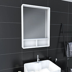 Aurlane LAV477 - Miroir salle de bain simple 50x70 cm