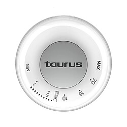 Taurus Bapi 750 Pure