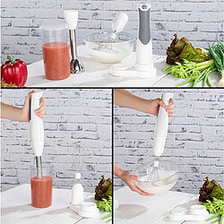 Rosenstein & Söhne Mixeur plongeur sans fil