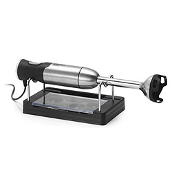 Naturamix Power1000 - Inox pas cher