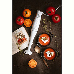 Acheter Adler AD4622