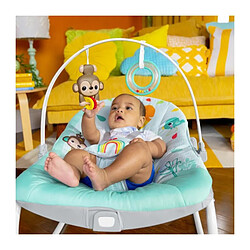 Bright starts Hamac bébé - Multicolore