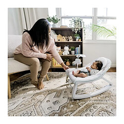 Avis Ingenuity Hamac bébé - Gris