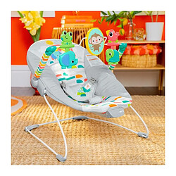 Bright starts Hamac bébé - Multicolore