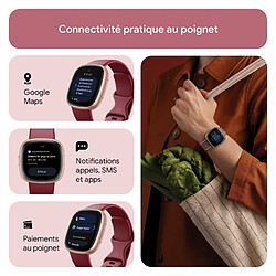 Acheter Fitbit by Google Versa 4