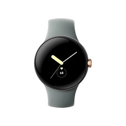 Avis Google Pixel Watch LTE