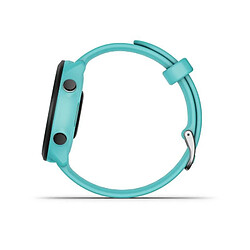 Avis Garmin 010-02562-12