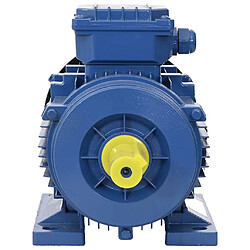 vidaXL Moteur électrique triphasé 2.2kW