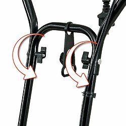 Einhell motobineuse électrique pas cher
