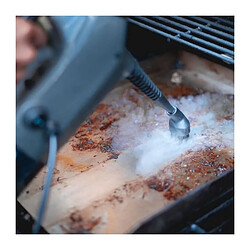 Eziclean CycloSteam P320 - Rouge