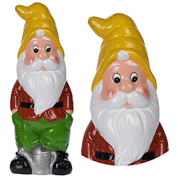 Acheter Nain de jardin coloré 30 cm