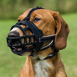 Muselière pour chien