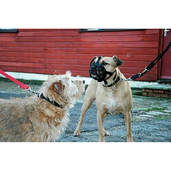 Muselière pour chien