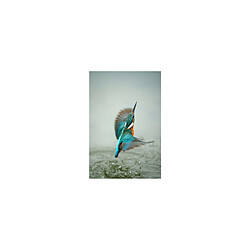 Sony Objectif zoom FE 70 200mm f/2.8 GM II pas cher