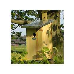 Esschert Design Nichoir observatoire Nichoir observatoire en bois - Plexiglas transparent - 22x17x39 cm