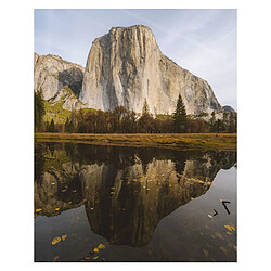 Avis Objectif OM System M.Zuiko 20mm f/1.4 Pro