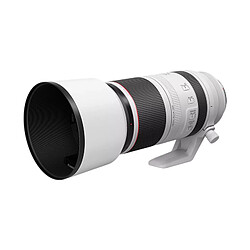 Canon RF 100-500mm F4.5-7.1 L IS USM pas cher