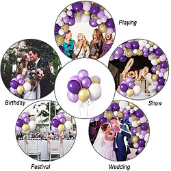 Avis Euro Mega Arche Ballon Violet Or 129pcs