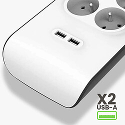 Acheter Belkin BSV804CA2M - 8 prises + 2 USB