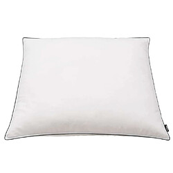 Avis vidaXL Oreiller Duvet 2 pcs - 80 x 80 cm