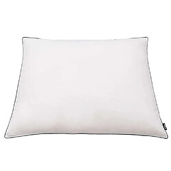 Avis vidaXL Oreiller Duvet 80x80 cm Blanc