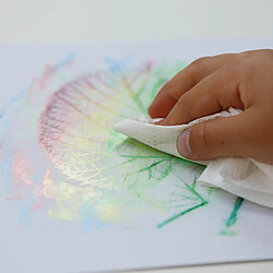 Avis Primo Crayons à la Cire Jumbo - Lot de 48