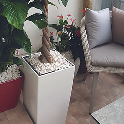 Jardinex Paillage copeaux de bois 7.5L - Blanc