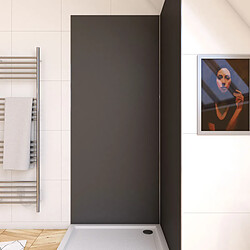 Aurlane Panneau mural de douche aluminium - Gris