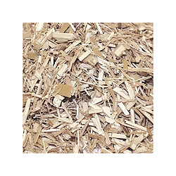 Secret Vert Paillis de Miscanthus Unitaire