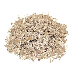 Secret Vert Paillis de Miscanthus Unitaire