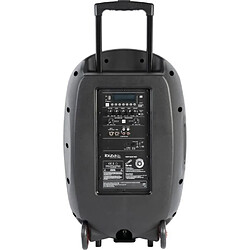 Ibiza Sound PORT15UHF-MKII