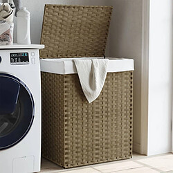 Panier à linge vidaXL - Résine tressée avec couvercle