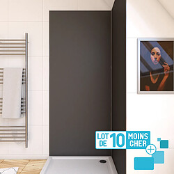 Aurlane Panneau mural douche aluminium PACP286