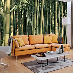 Paris Prix Papier Peint Bamboo Exotic - Multicolore