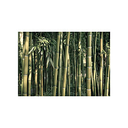 Paris Prix Papier Peint Bamboo Exotic - Multicolore