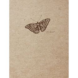 Avis Clairefontaine Flying Spirit Carnet - A6 - 100 Pages Ivoire