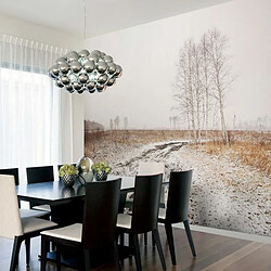 Paris Prix Papier Peint Winter Field 154 x 200 cm