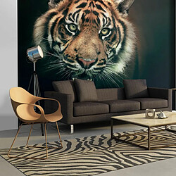 Paris Prix Tigre du Bengale Papier peint mural intissé - Haute résolution 600 dpi - 193 x 250 cm - Multicolore
