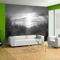 Paris Prix Plage Noir & Blanc - Multicolore Papier peint mural - Papier intissé 110 g/m² - Haute Résolution 600 dpi - Résistant à l'eau
