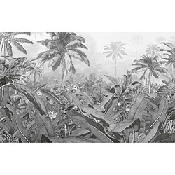 Komar Papier Peint Amazonia Noir et blanc - 400x250